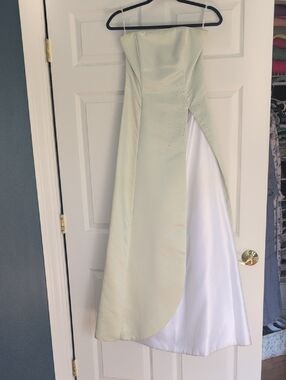 Scott McClintock Sage/White Formal Dress - As Is